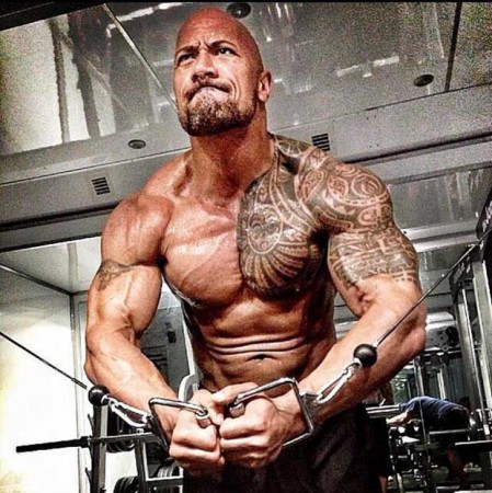 The Rock (✠ WSS ✠)